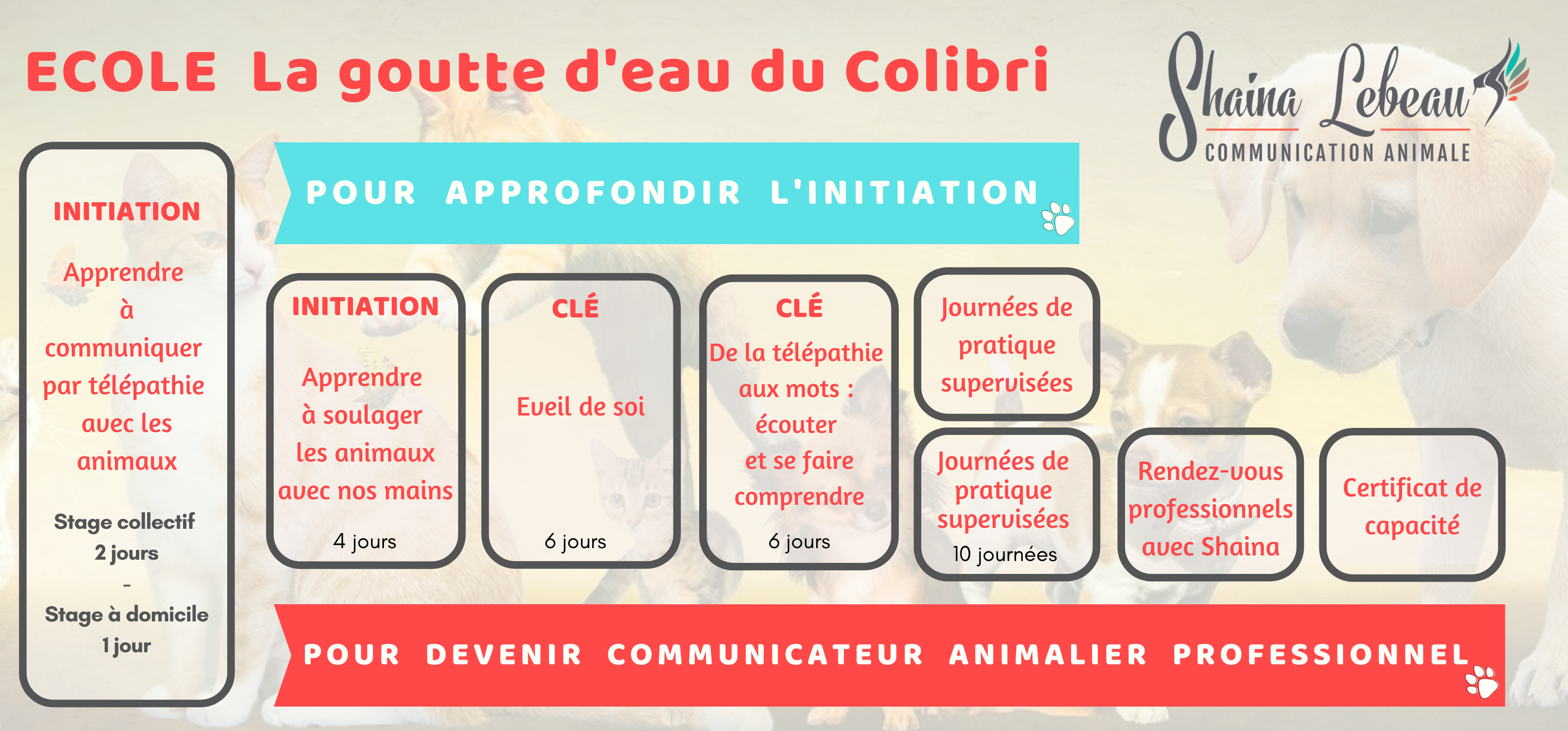 Ecole La goutte d'eau du Colibri Parcours professionnel