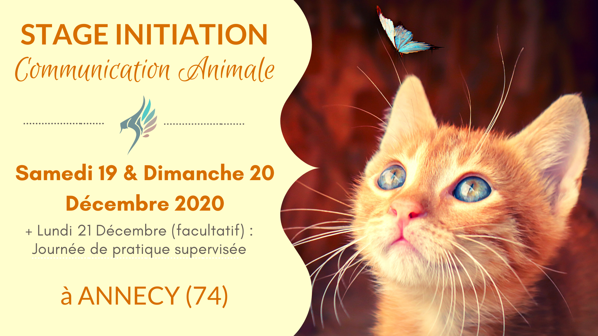 Stage d'initiation à la communication animale Stage communication animale