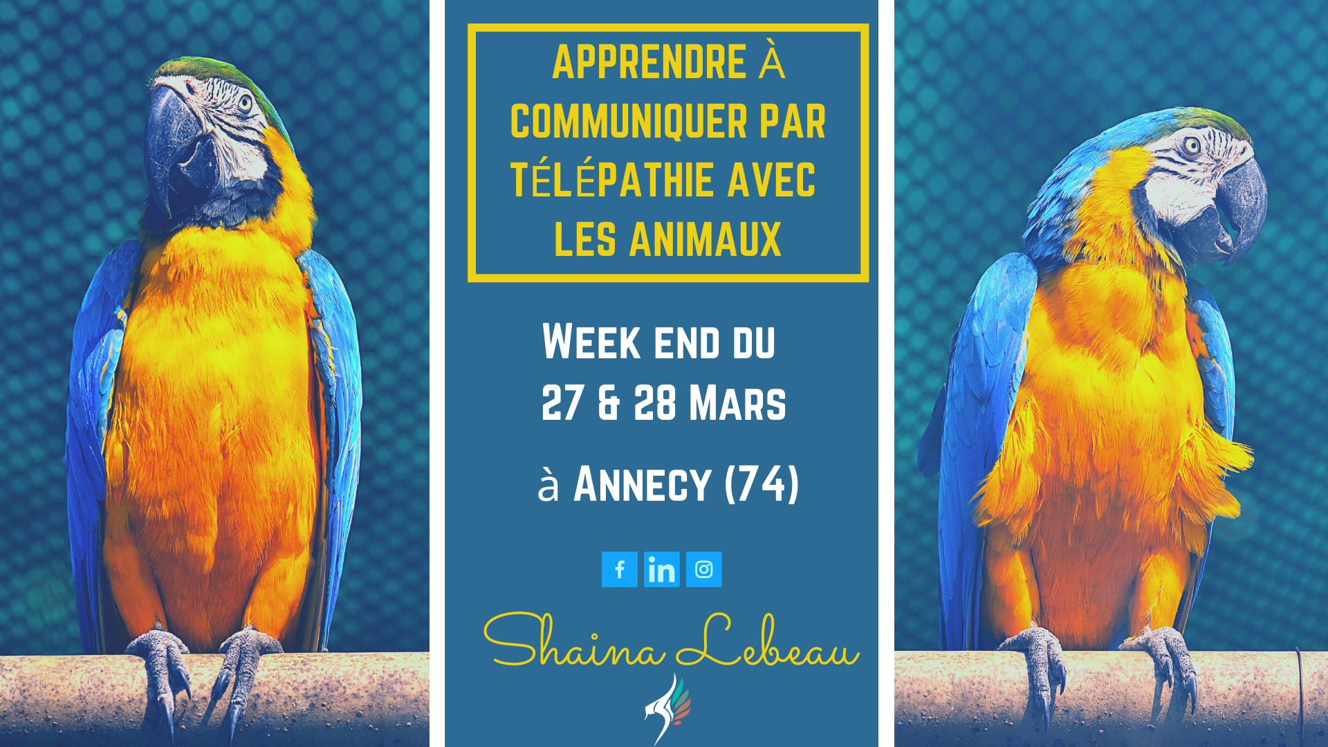 Stage-initiation-communication-animale Communication animale