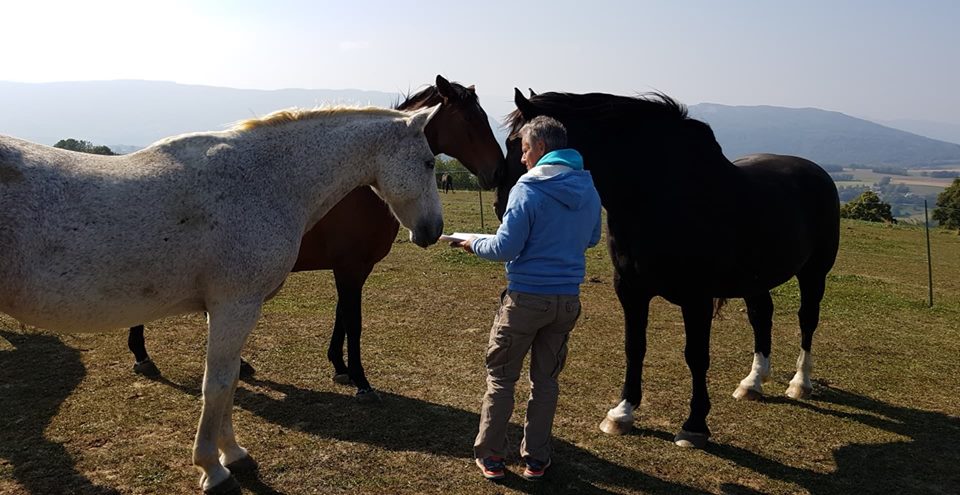 42889875_264896584162134_8947574607477473280_n Communiquer par télapathie avec les animaux - présentation