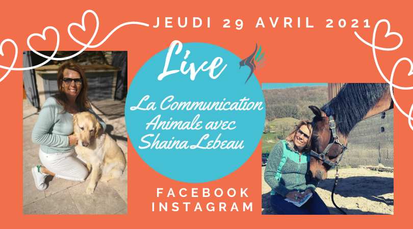 LIVE 290421 LIVE FACEBOOK 29 AVRIL