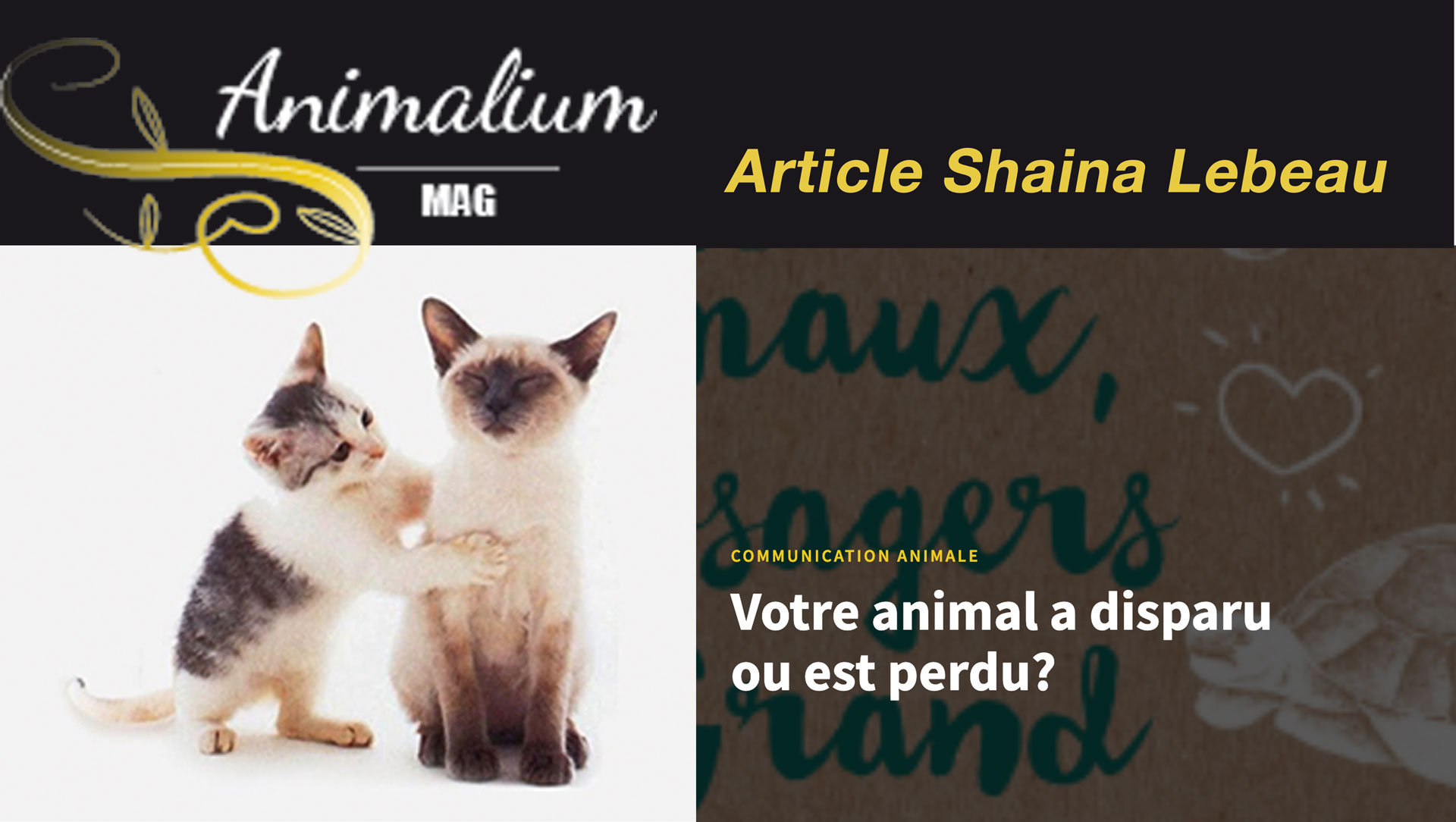montage-animalium article Animalium Mag