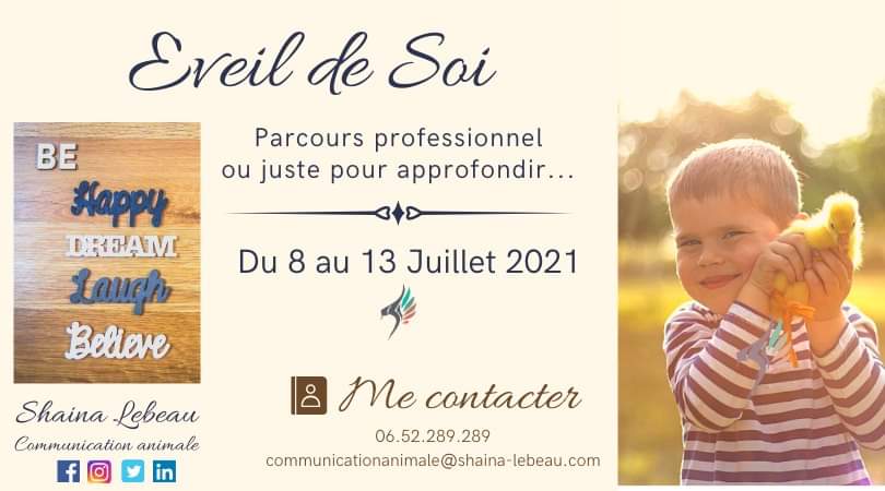 visuel eveil de soi juillet stage eveil de soi