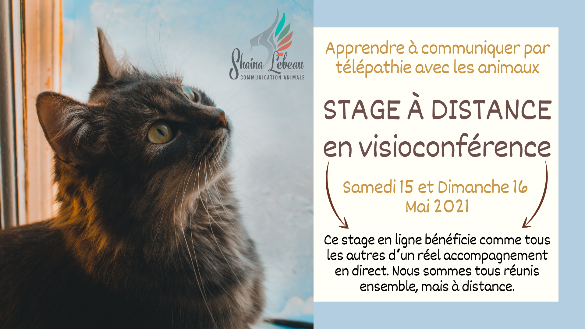 2021-05 Visio stage initiation sainte maxime
