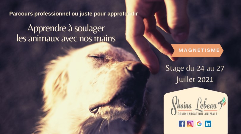 164311313_2922884631365554_2871862035251301839_n stage eveil de soi