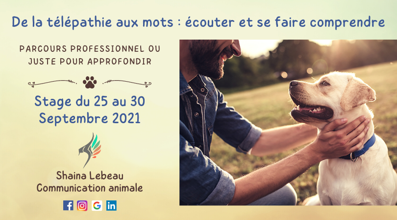 Visuel Télépathie aux mots 2021-09 communication animale