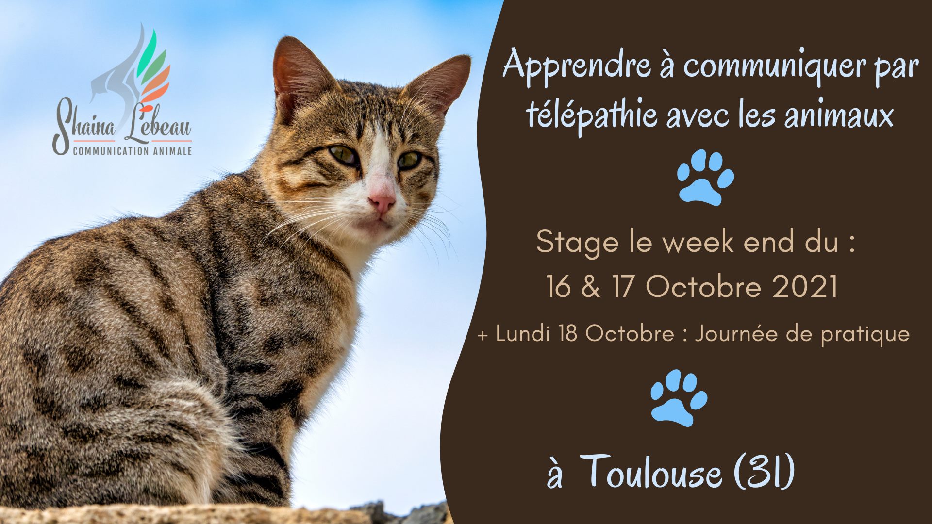 2021-10 Toulouse communication animale