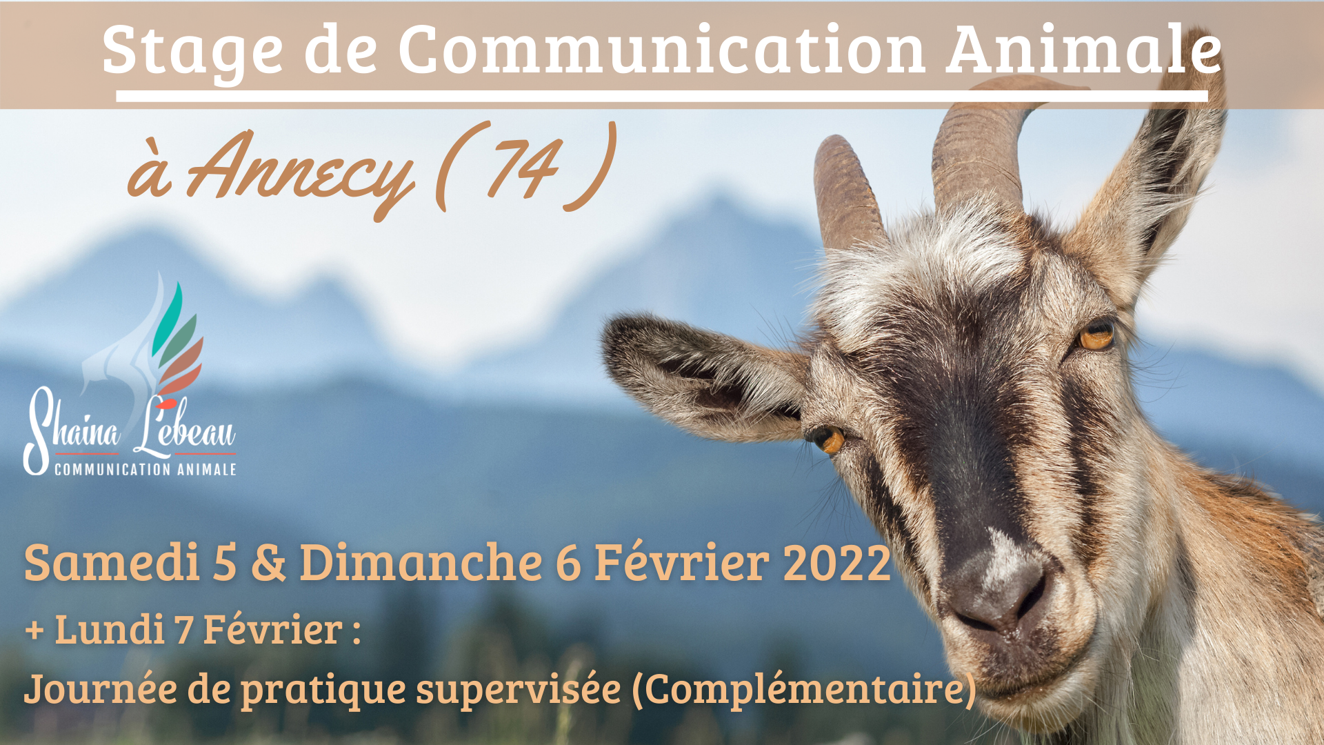 Annecy OK communication animale