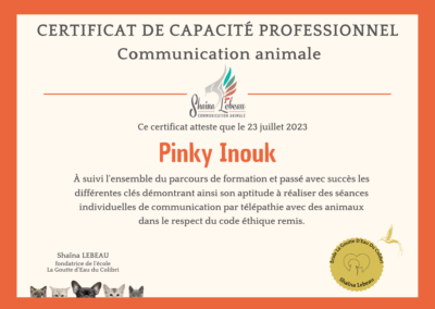 diplome-communicateur-animalier-professionnel-communication-animale
