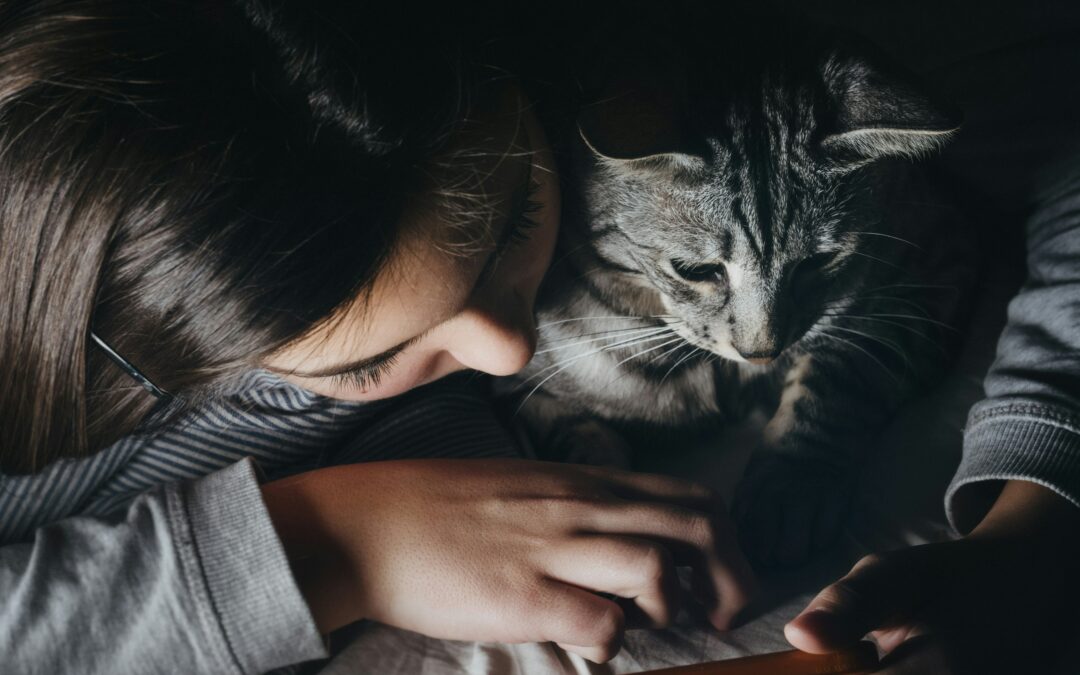 Communication animale avec une chatte âgée de 10 ans : Rosette déclare son amour à son Humaine